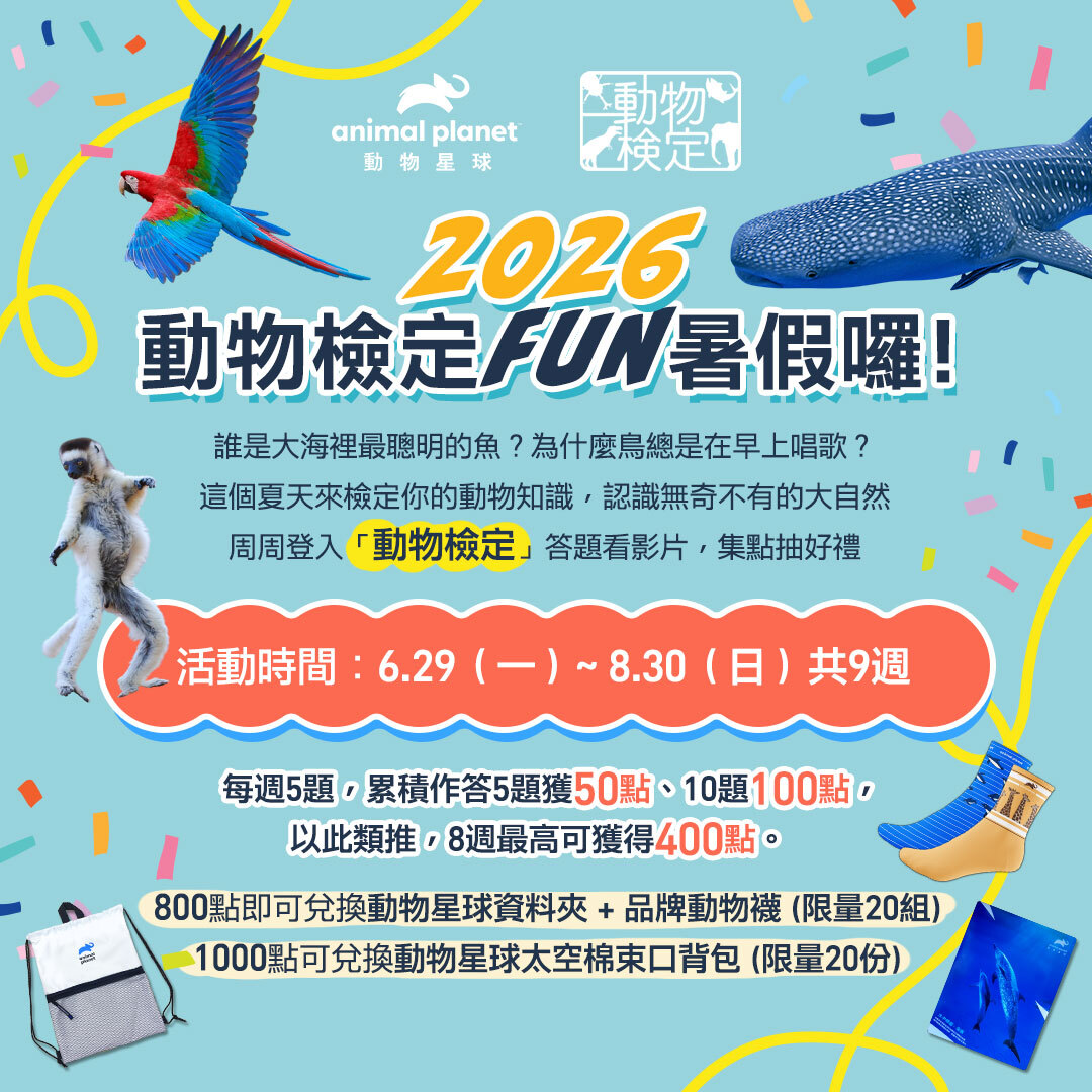 2026動物檢定FUN暑假