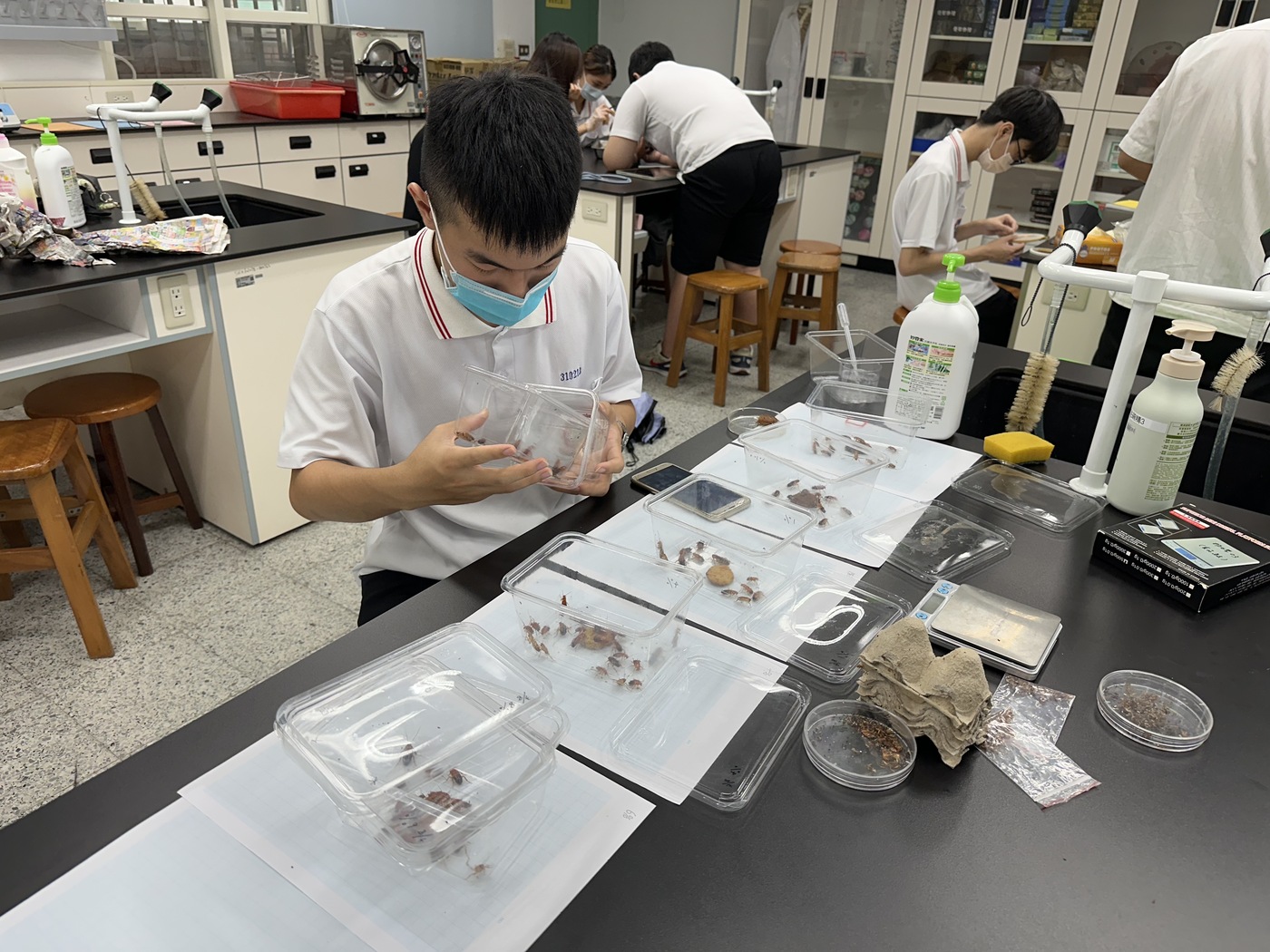 三重高中學生專注觀察櫻桃紅蟑之研究
